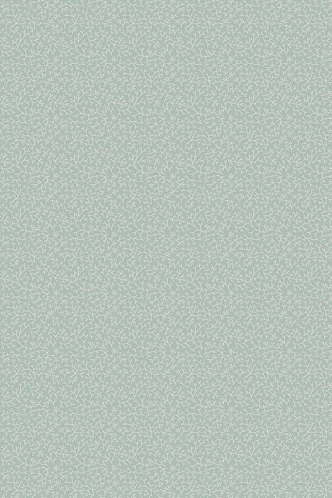 Samphire 4002