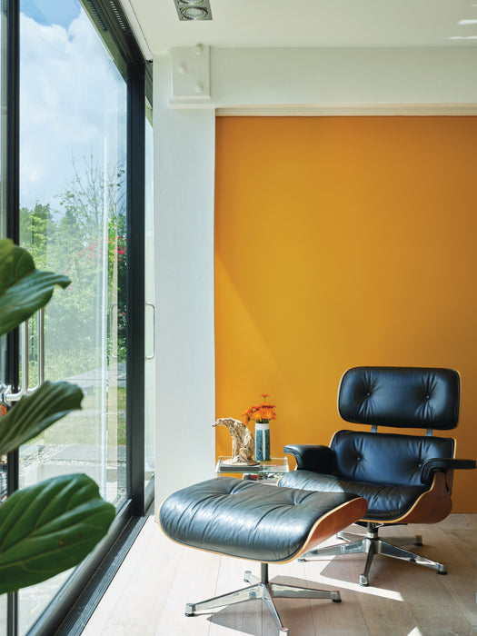 Dutch Orange - No. W76