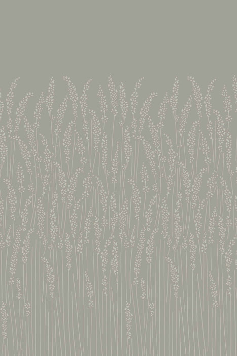Feather Grass 5102