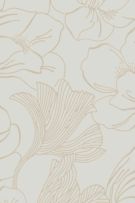 Helleborus 5601